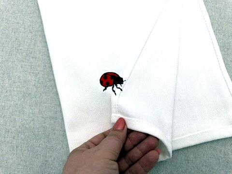Summer Ladybug Thief