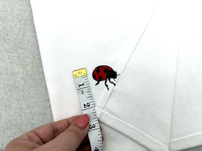 Summer Ladybug Thief