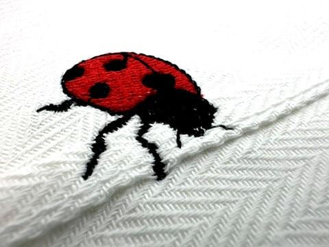 Summer Ladybug Thief