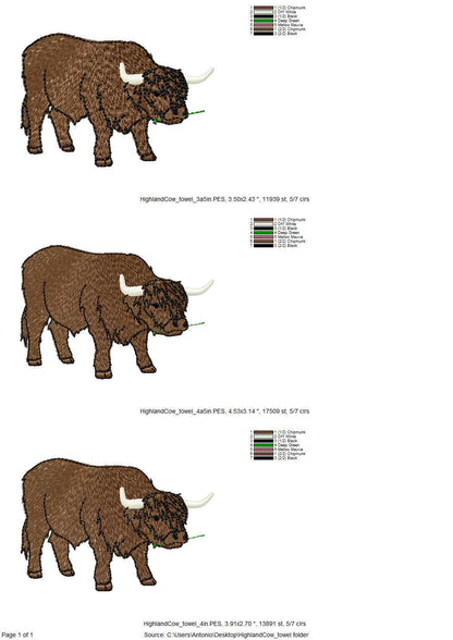 Highland Cow Thief