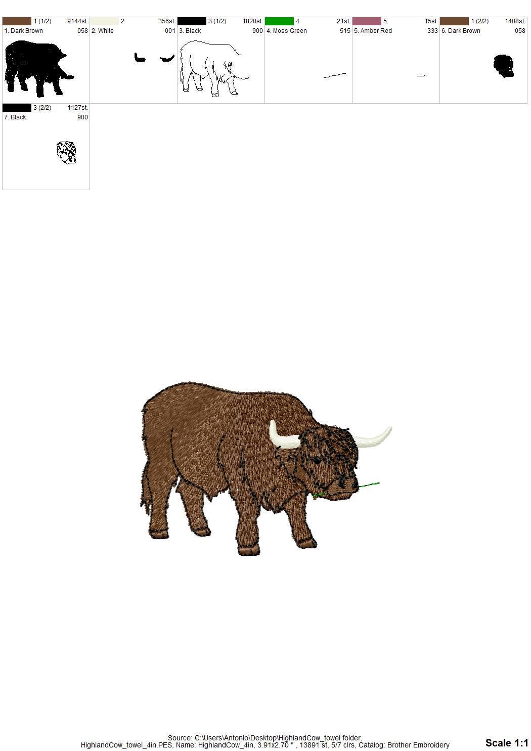 Highland Cow Thief