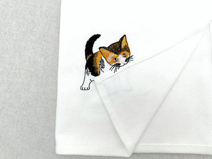 Lovely Playing Calico Kitten
