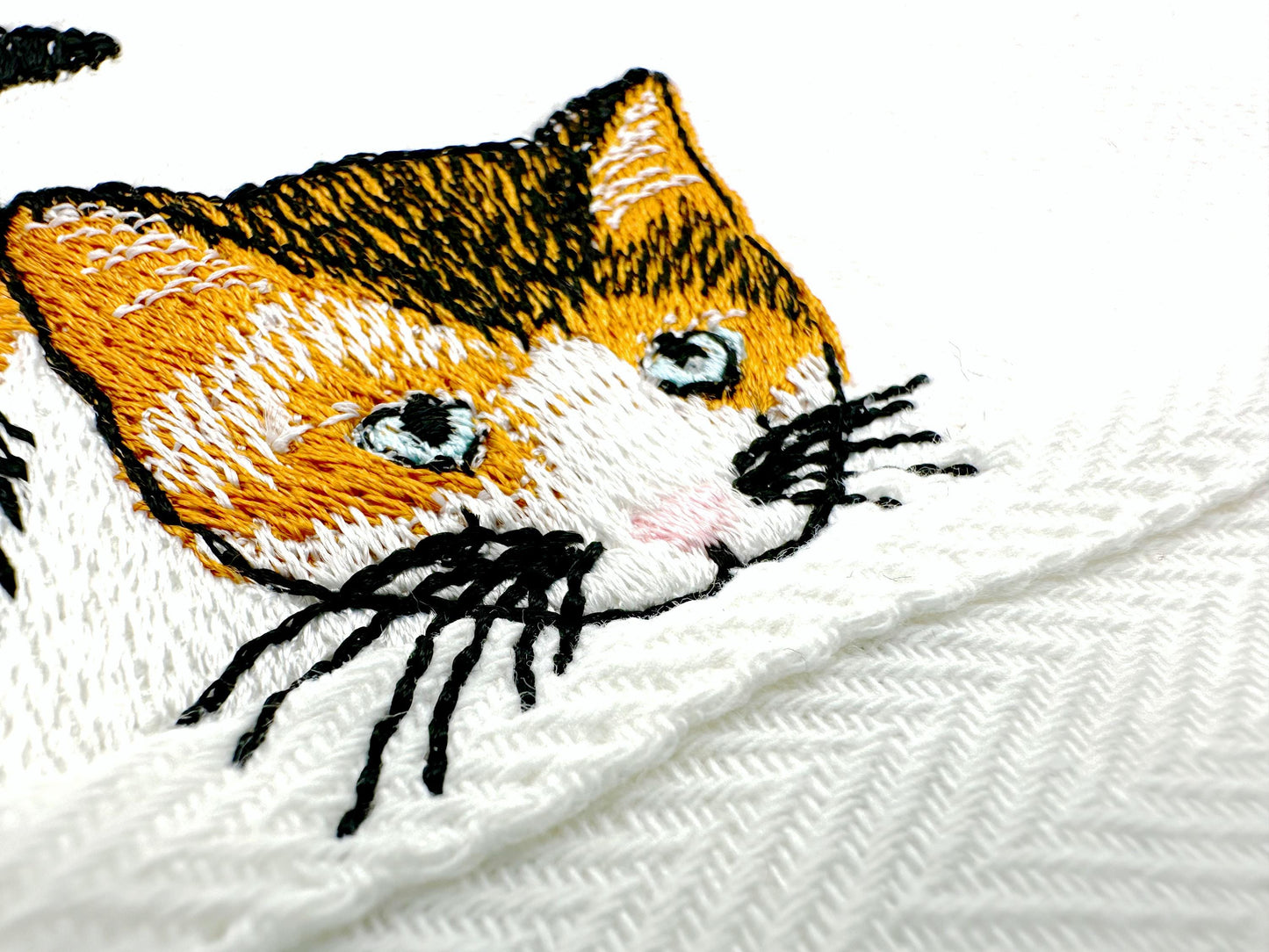 Lovely Playing Calico Kitten
