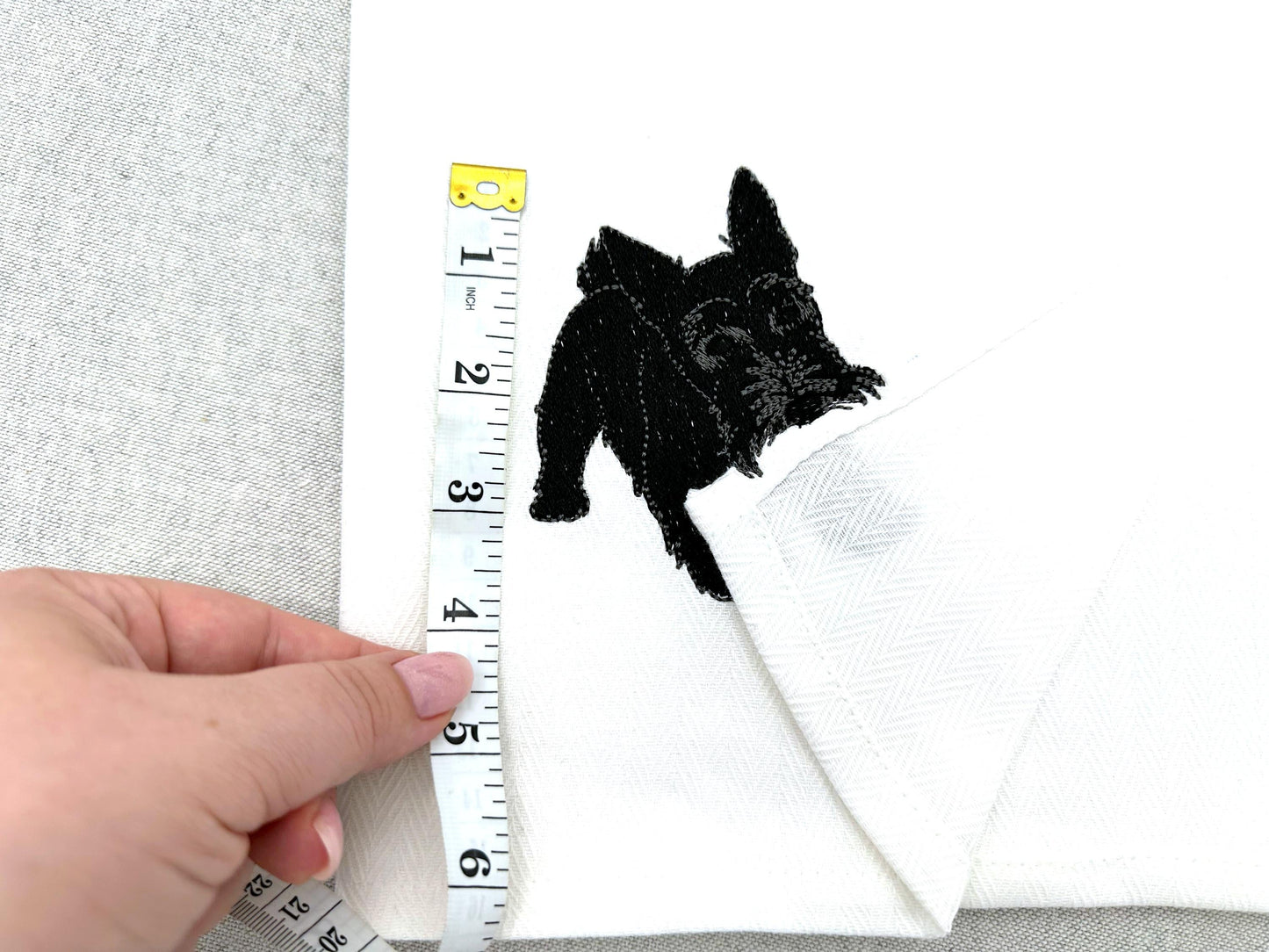 Playing Scottish Terrier Puppy