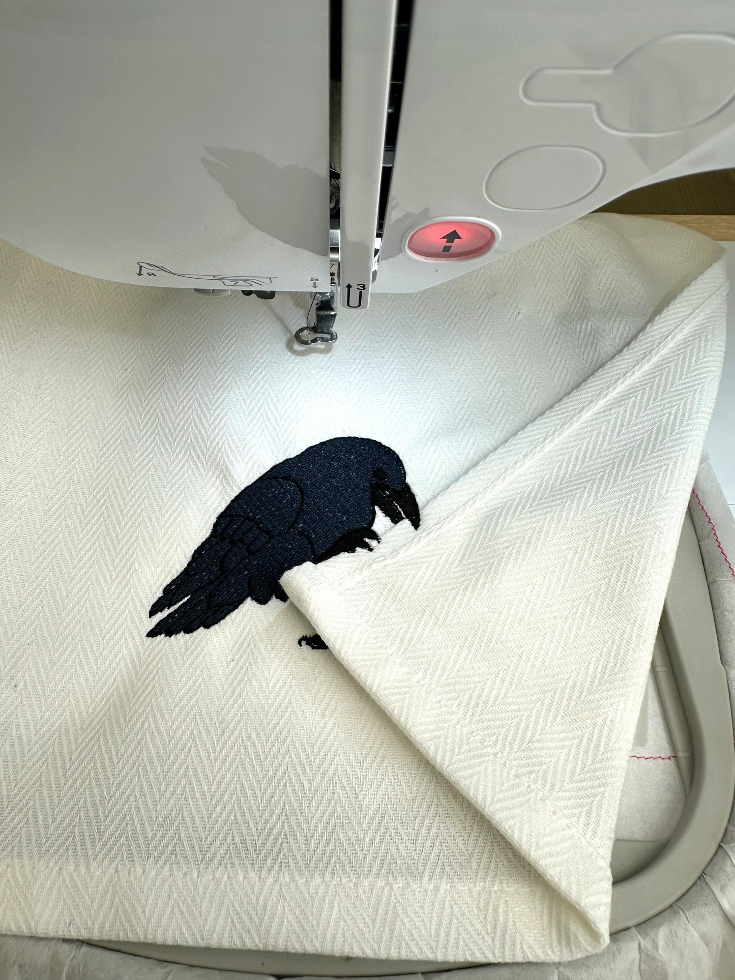Naughty Playing Raven Crow