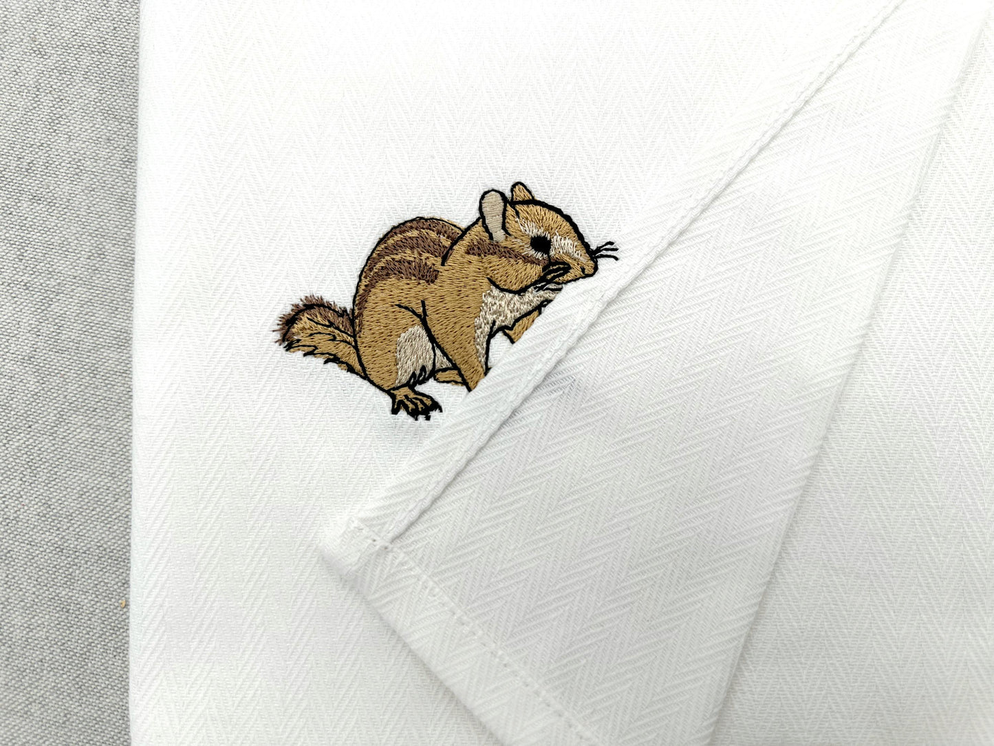 Cute Chipmunk Squirrel