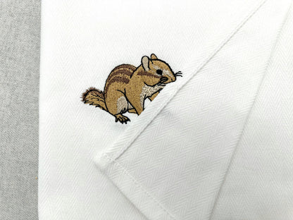 Cute Chipmunk Squirrel