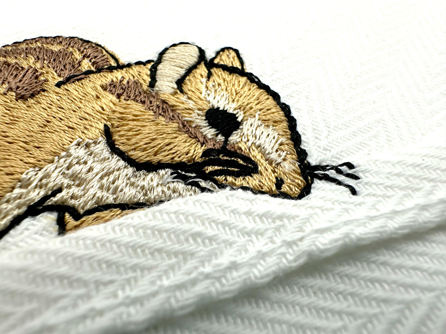 Cute Chipmunk Squirrel