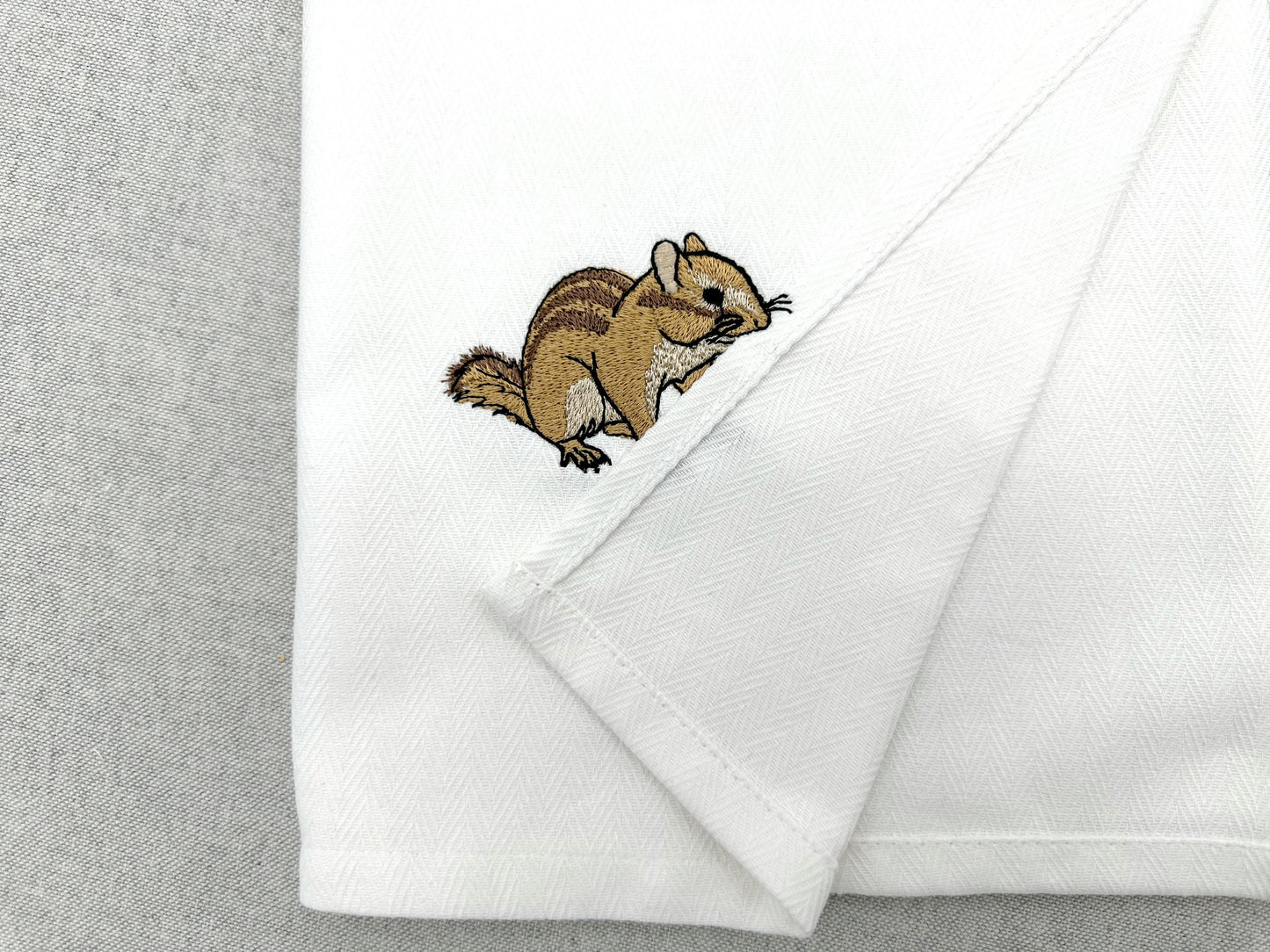 Cute Chipmunk Squirrel