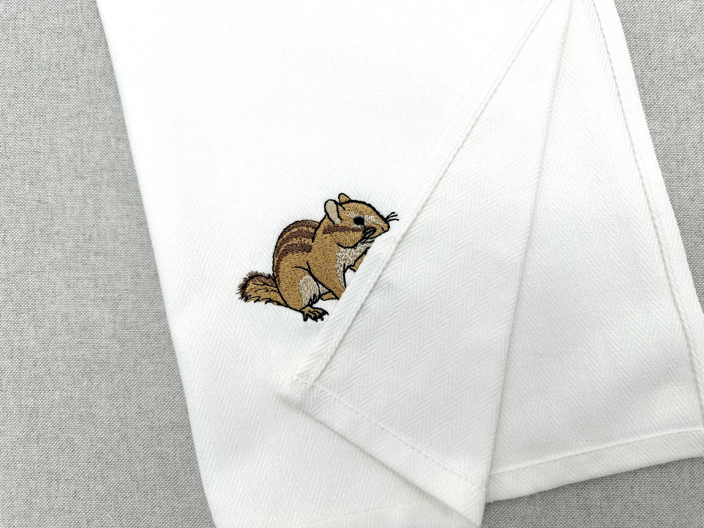 Cute Chipmunk Squirrel