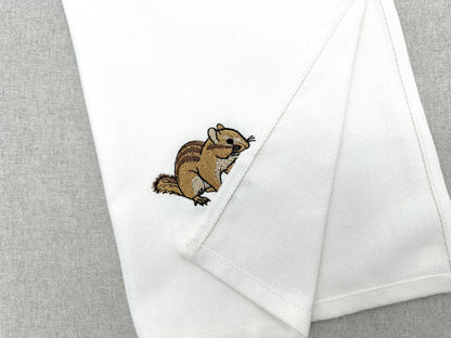 Cute Chipmunk Squirrel