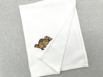 Cute Chipmunk Squirrel