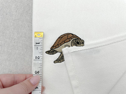 Playing Sea Turtle Thief