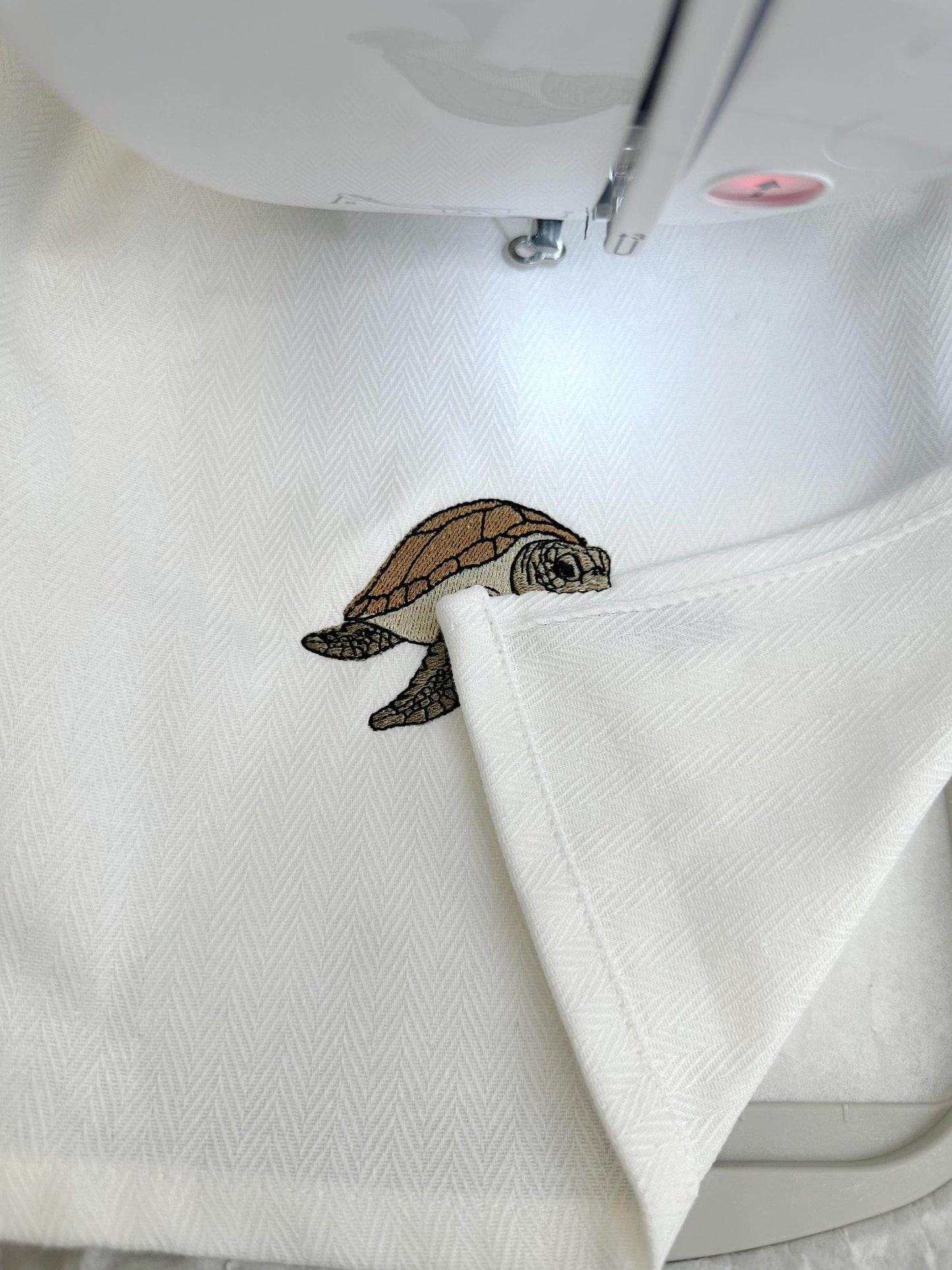 Playing Sea Turtle Thief