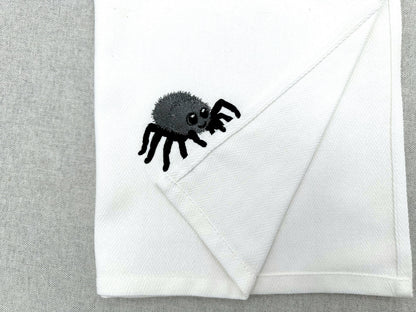 Cute Spider Thief
