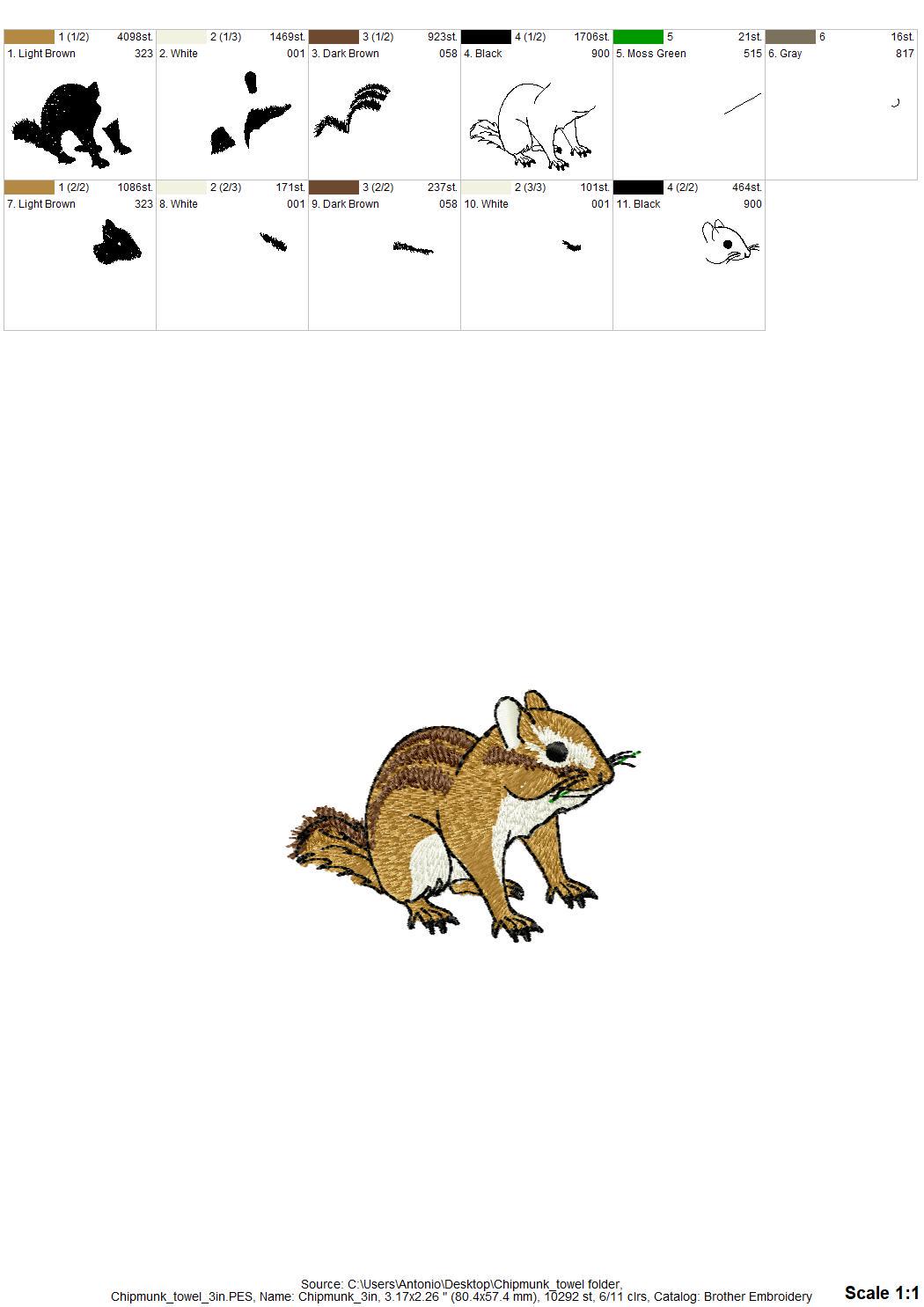 Cute Chipmunk Squirrel