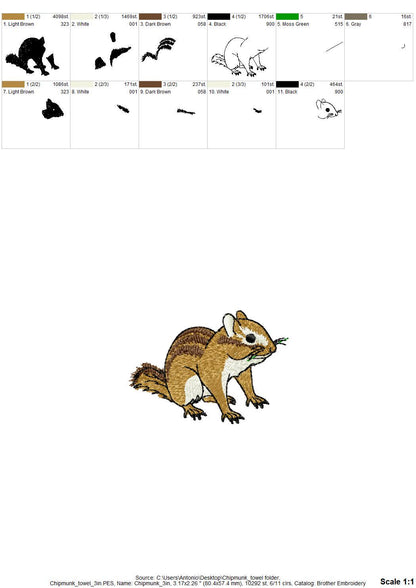 Cute Chipmunk Squirrel