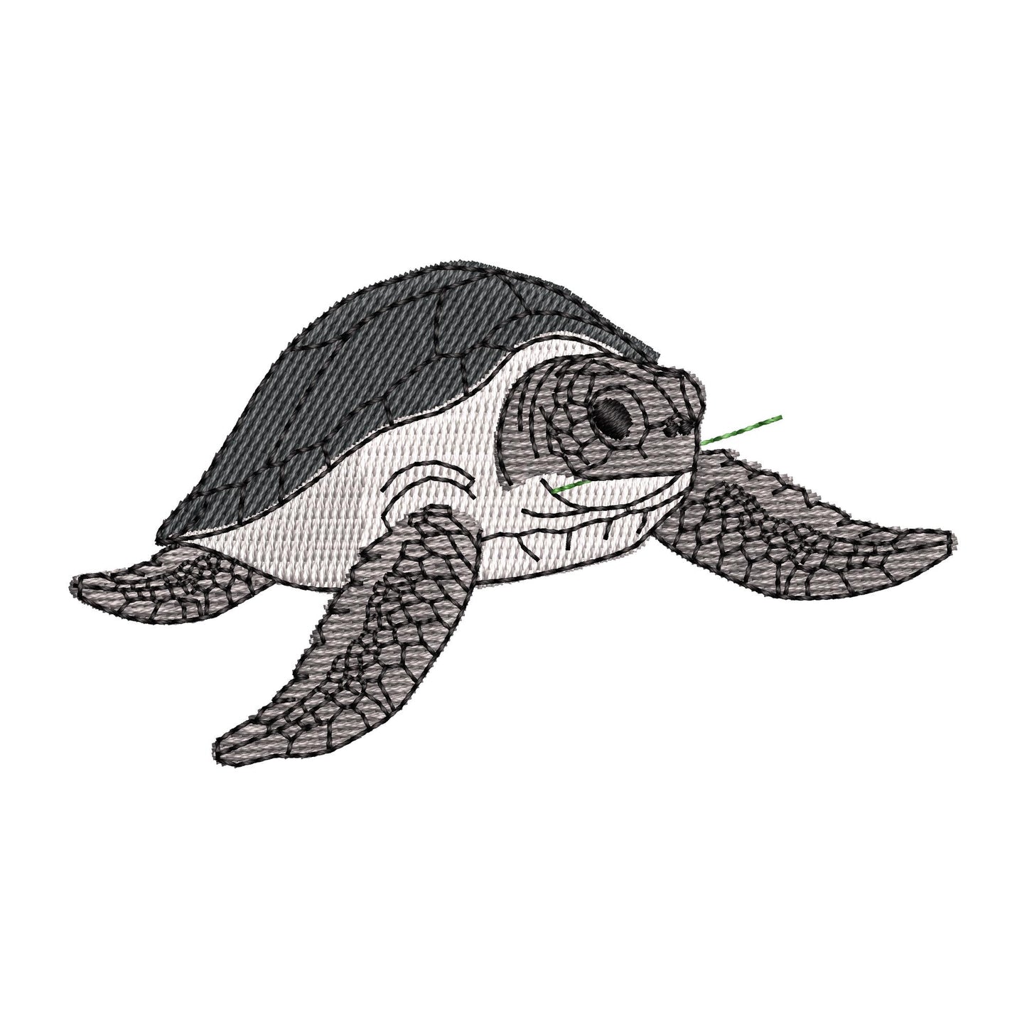 Playing Sea Turtle Thief