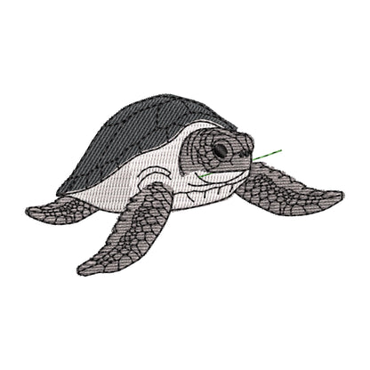 Playing Sea Turtle Thief