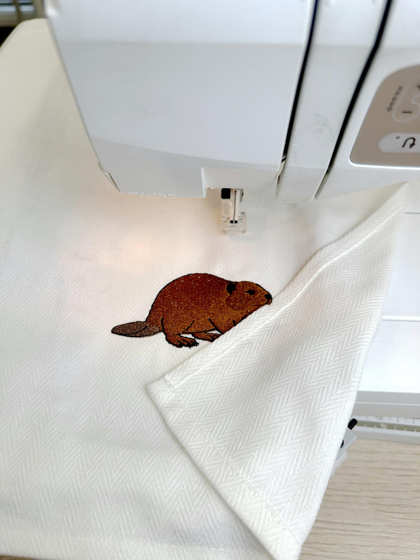 Playing Beaver Thief