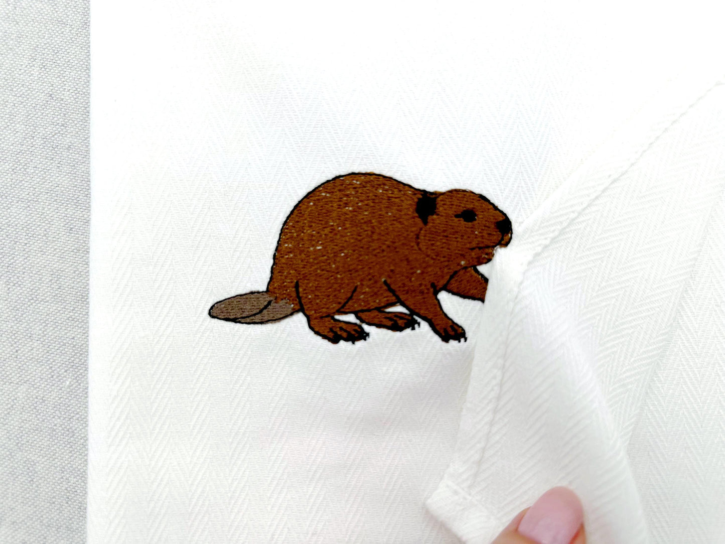 Playing Beaver Thief