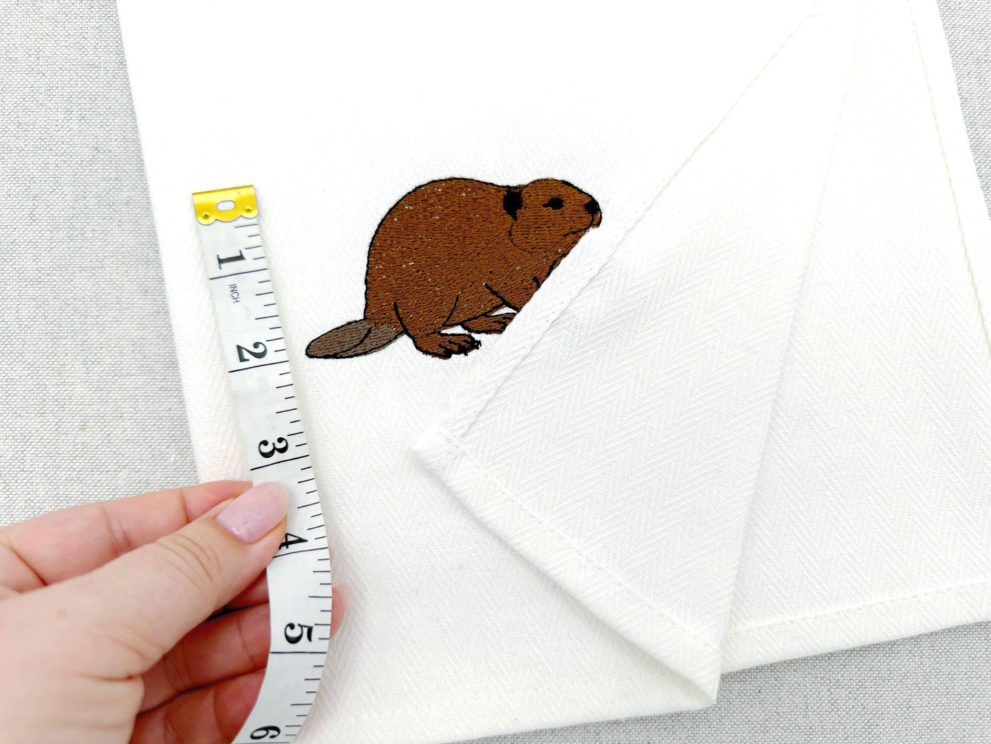 Playing Beaver Thief