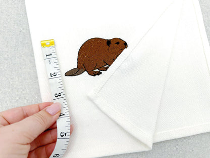 Playing Beaver Thief