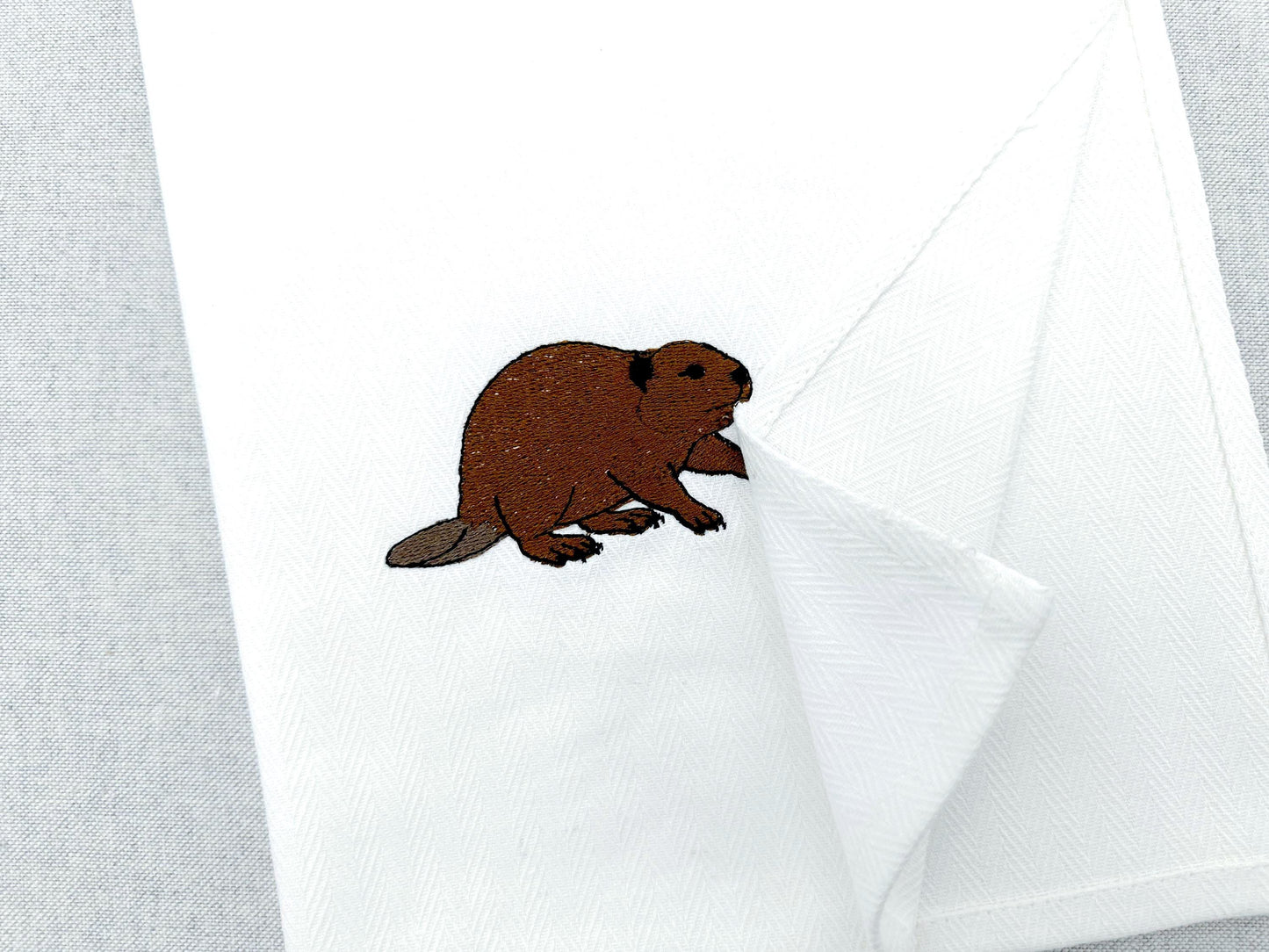Playing Beaver Thief