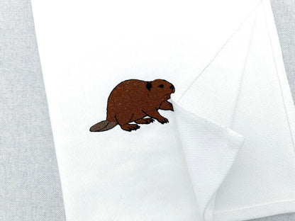 Playing Beaver Thief