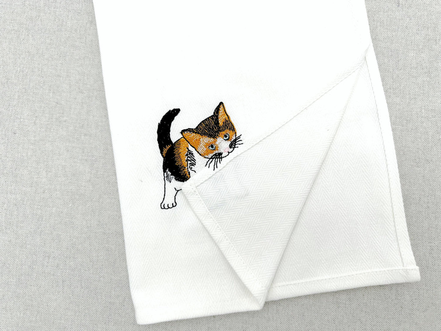 Lovely Playing Calico Kitten