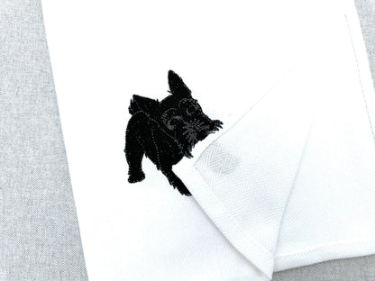 Playing Scottish Terrier Puppy