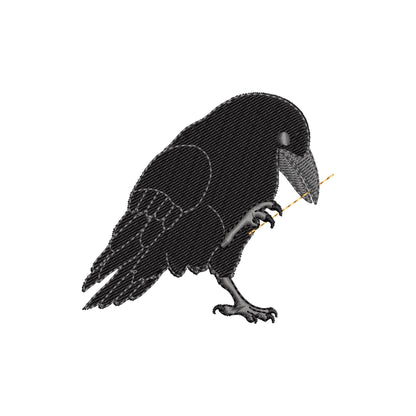Naughty Playing Raven Crow