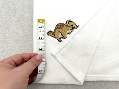 Cute Chipmunk Squirrel