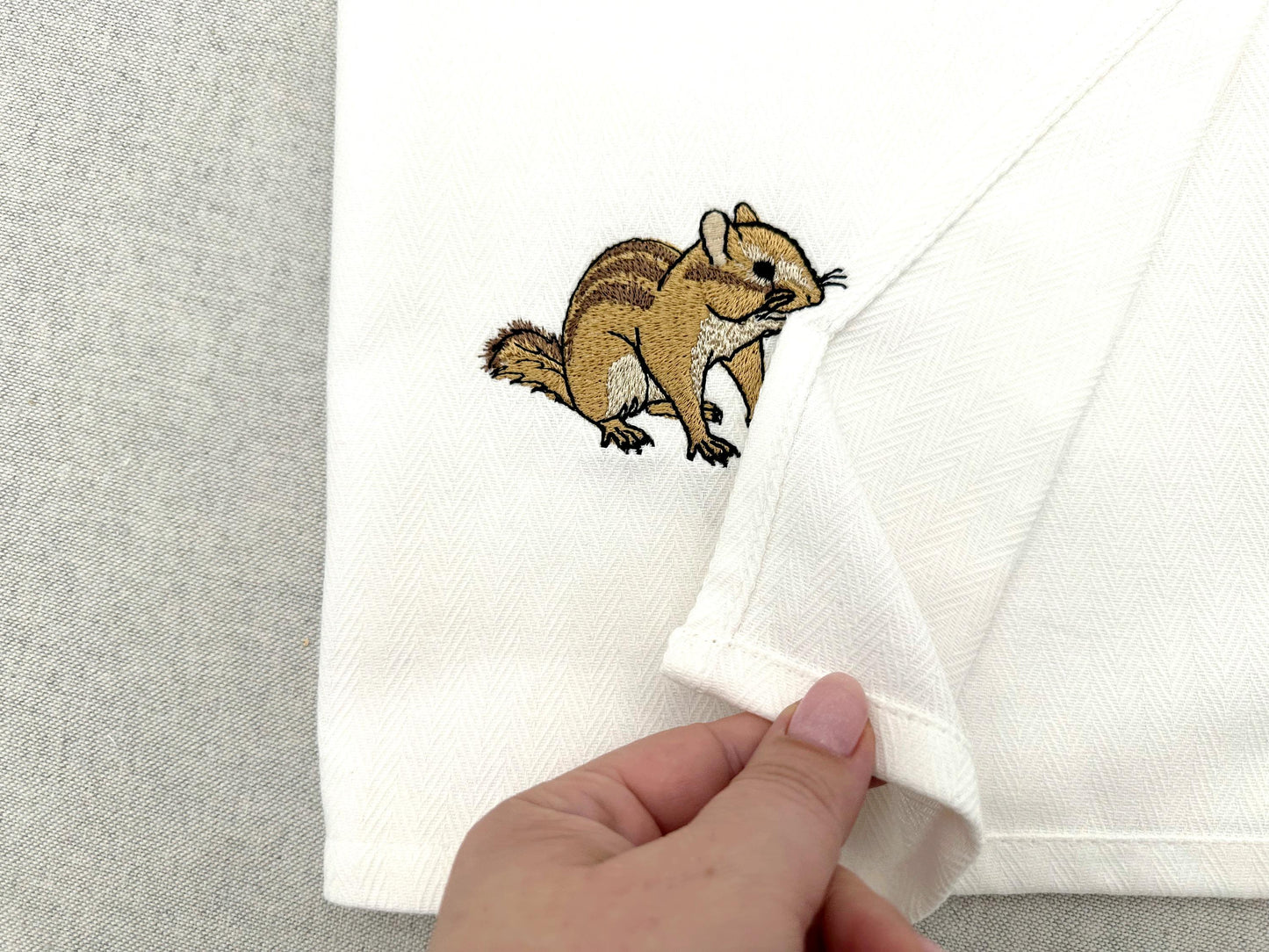Cute Chipmunk Squirrel