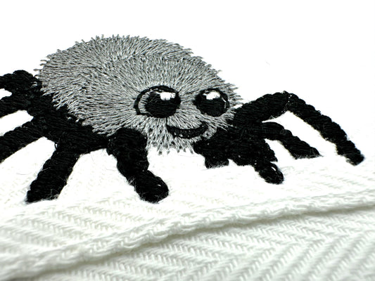 Cute Spider Thief