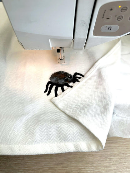 Cute Spider Thief