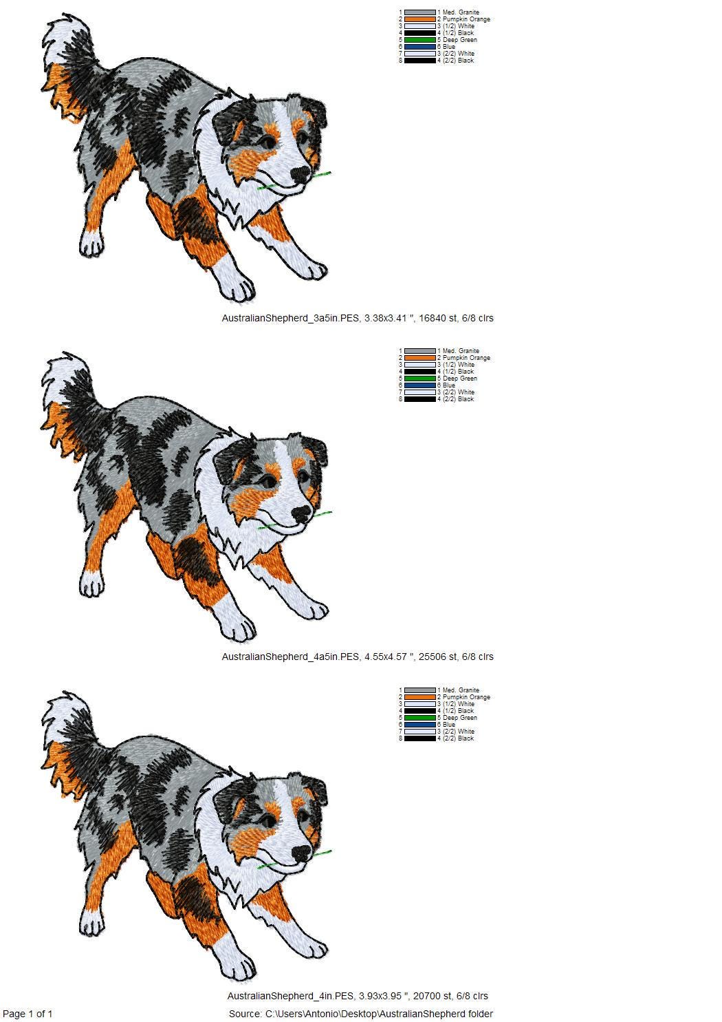Australian Shepherd Puppy Thief