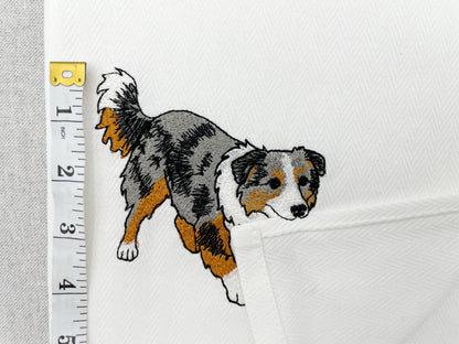 Australian Shepherd Puppy Thief
