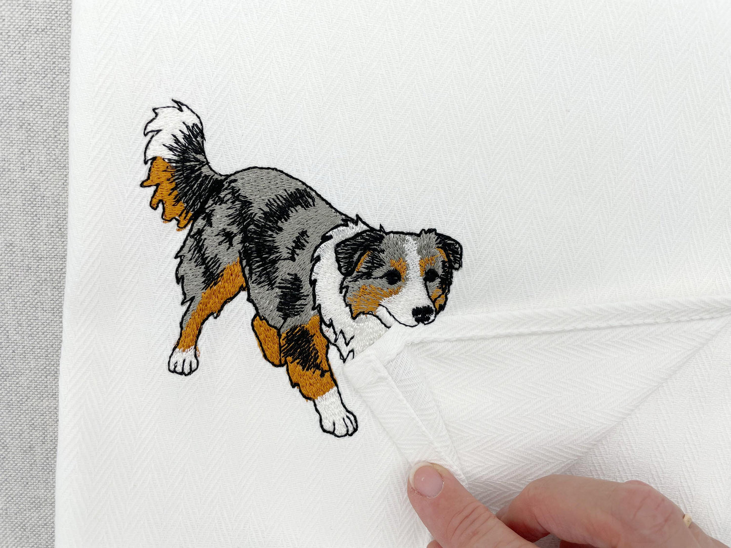 Australian Shepherd Puppy Thief