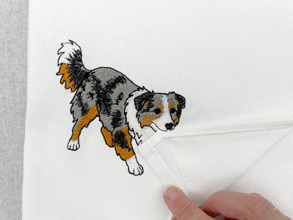 Australian Shepherd Puppy Thief