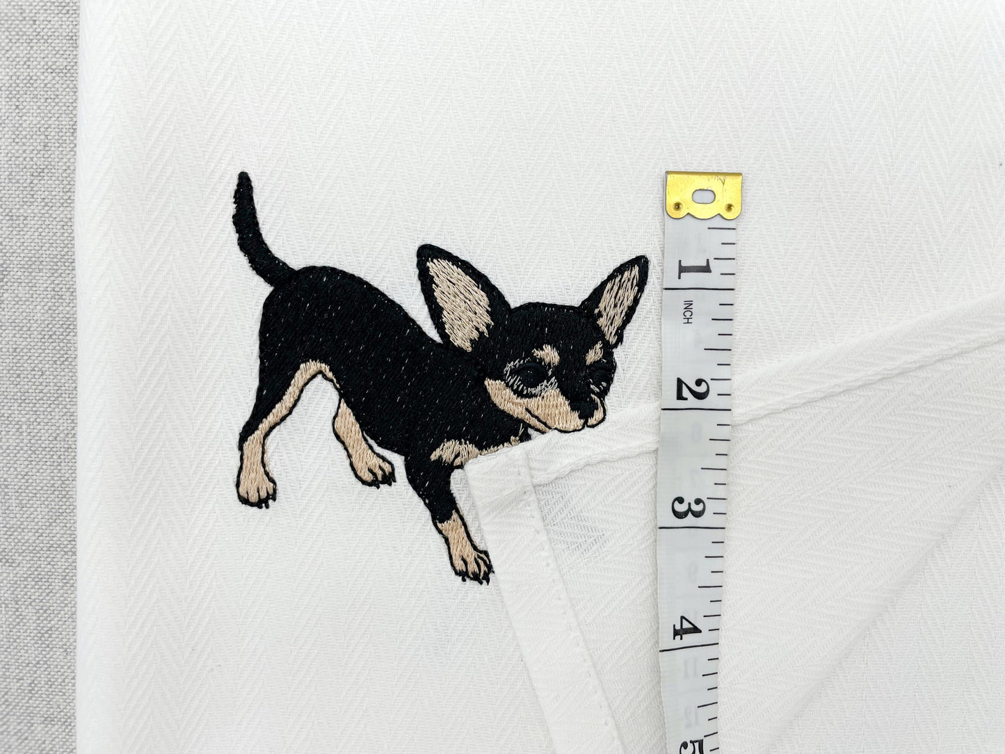 Cute Playing Chihuahua Tricolor