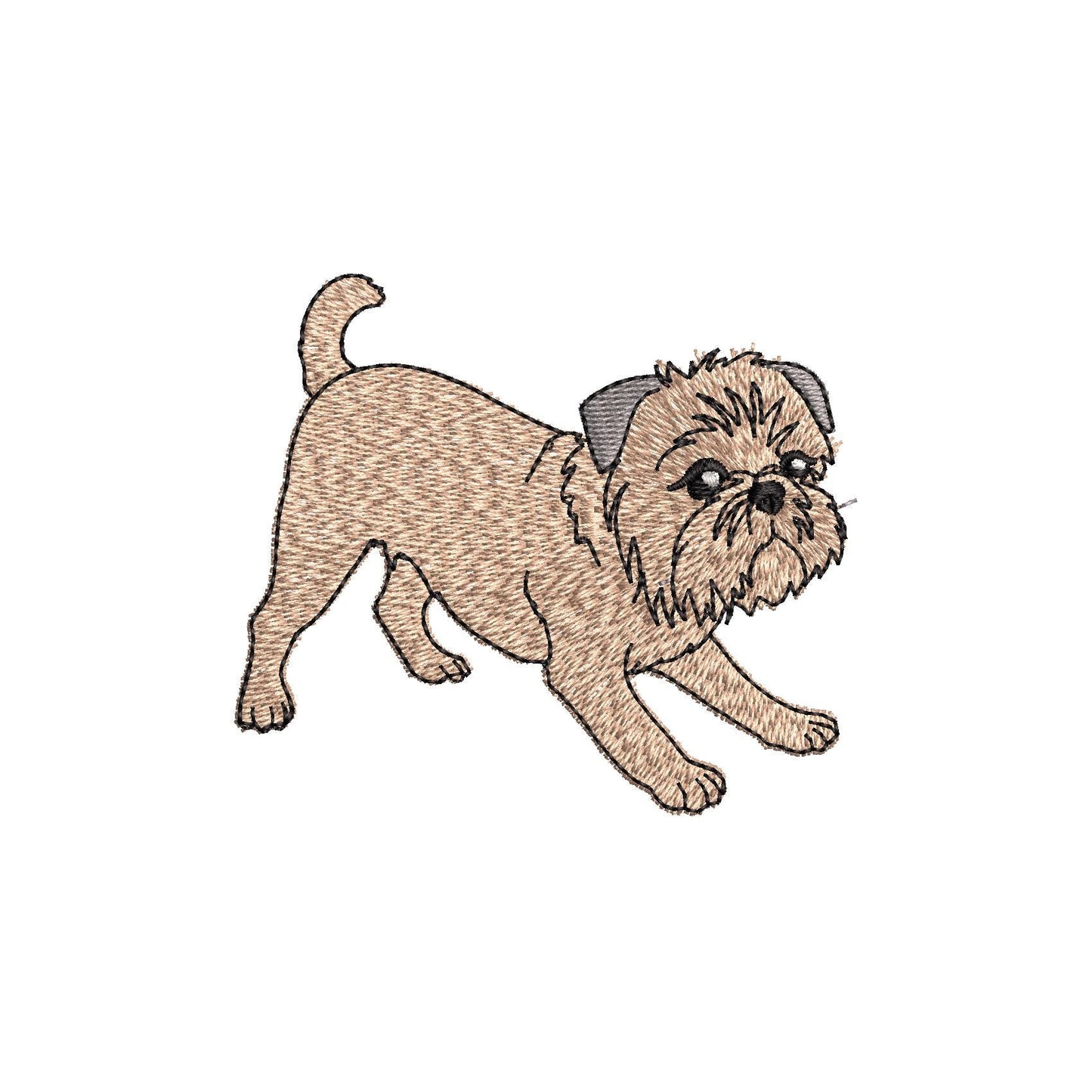 Playing Brussels Griffon Puppy Thief