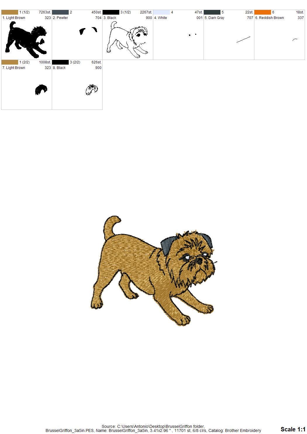 Playing Brussels Griffon Puppy Thief
