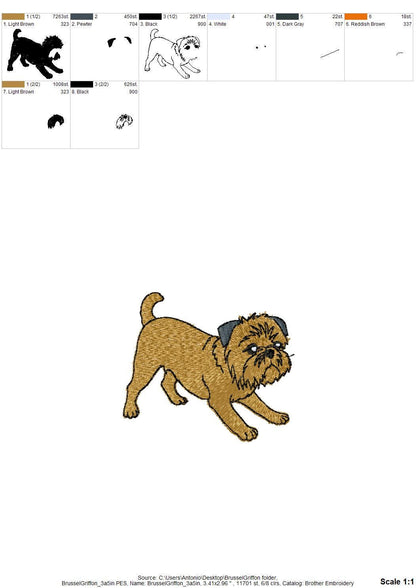 Playing Brussels Griffon Puppy Thief