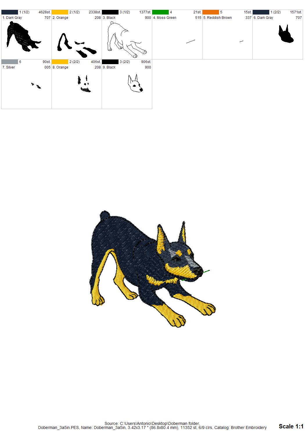 Playing Doberman Pinscher Thief