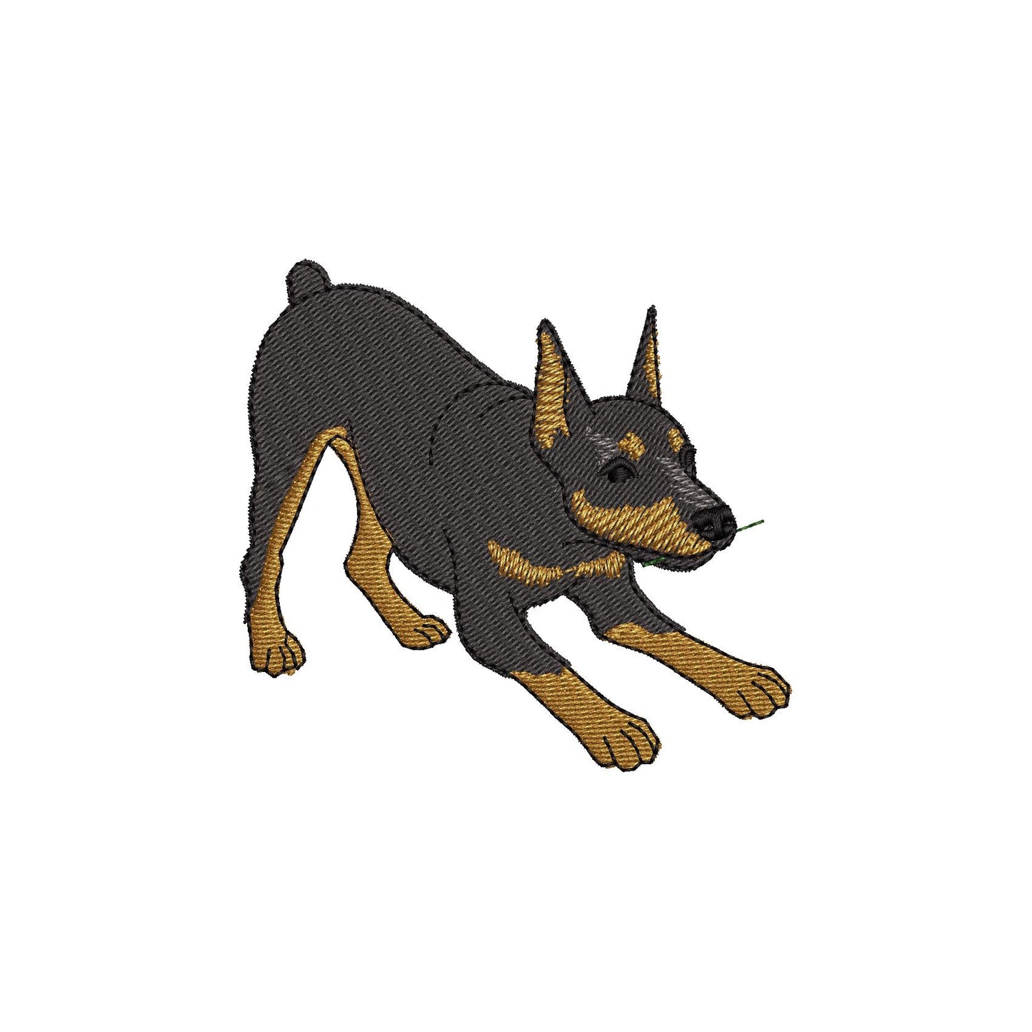 Playing Doberman Pinscher Thief