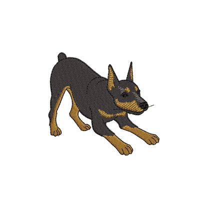Playing Doberman Pinscher Thief