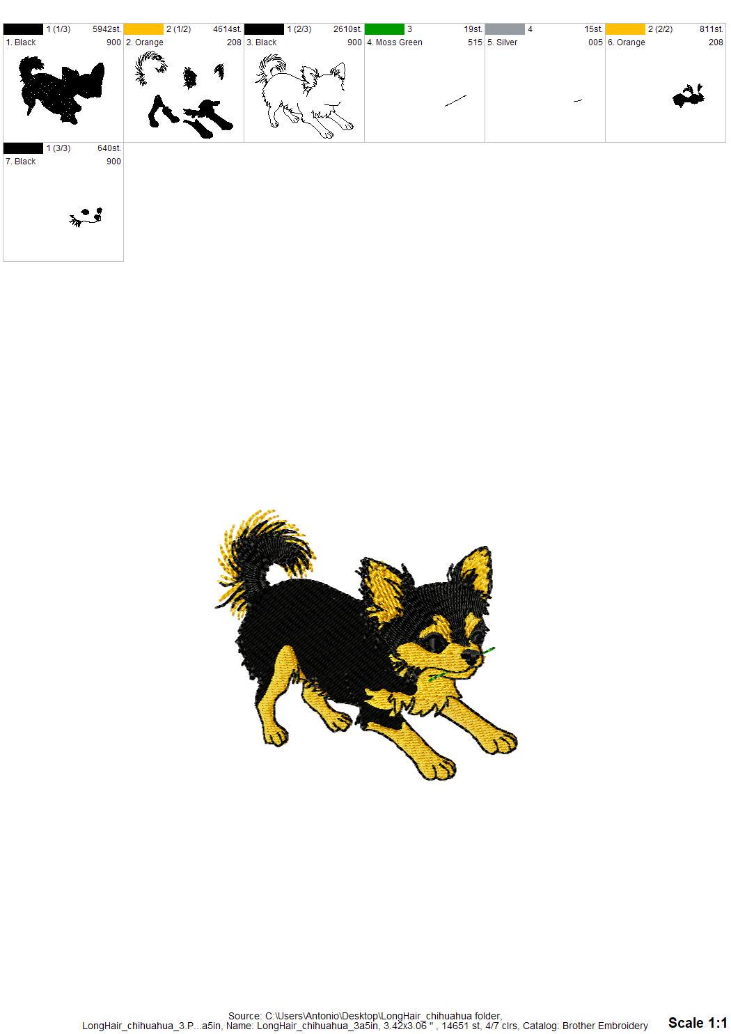 Long Hair Chihuahua Puppy Thief