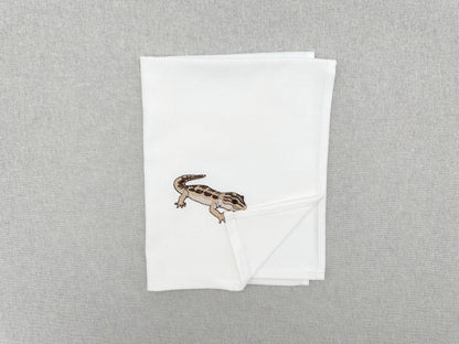 Naughty Playing Gecko