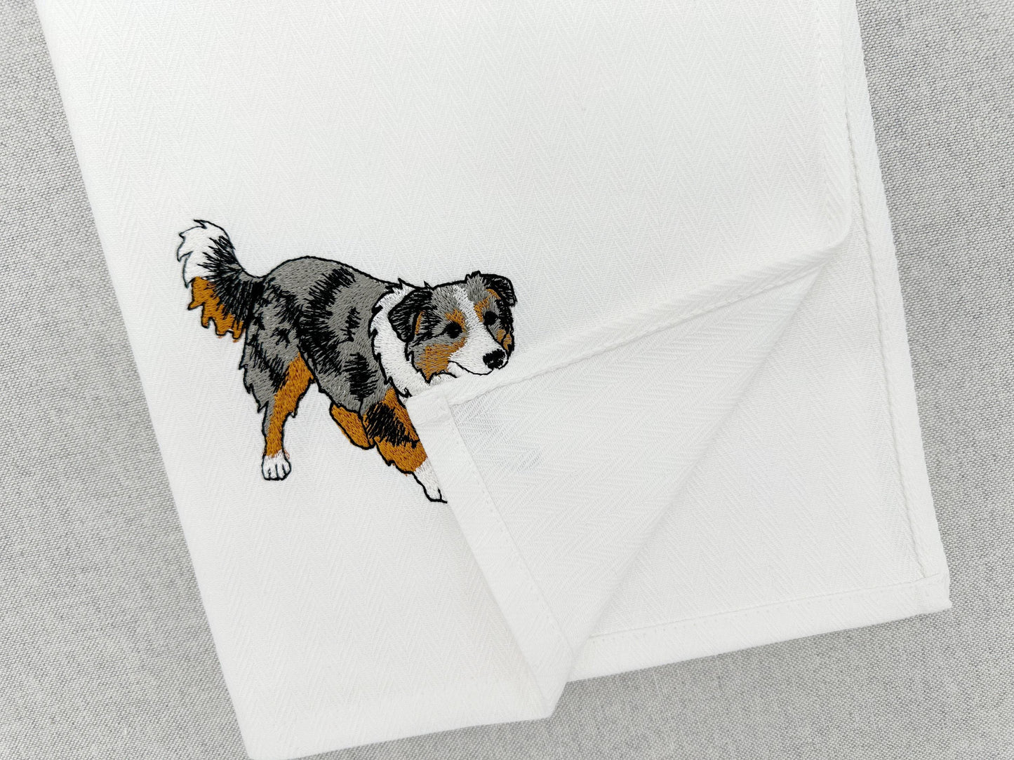 Australian Shepherd Puppy Thief